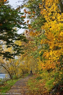 Walking the Dog - High Rocks Park