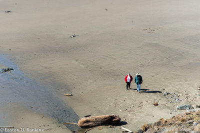 Beach Walk
