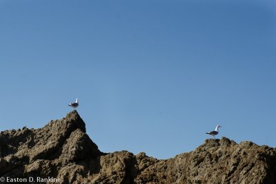 View Points