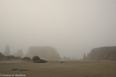 The Fog Rolled in III