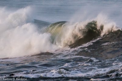 Wave - Number 02