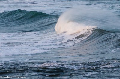 Wave - Number 03