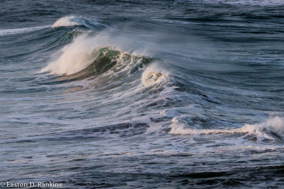 Wave - Number 04