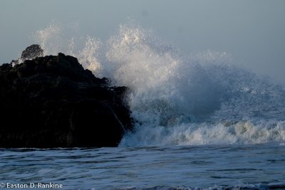 Wave - Number 06