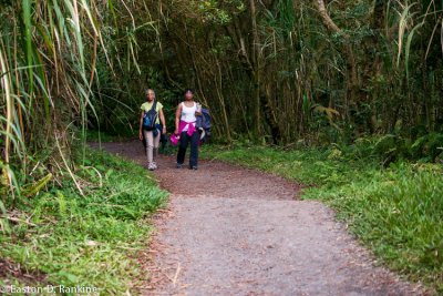Hiking Trail, Arenal National Park
