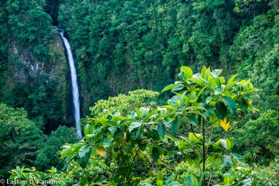 La Fortuna Waterfall III