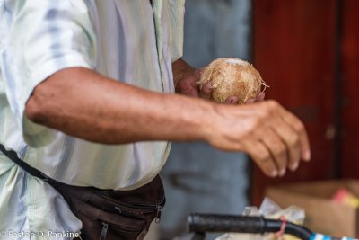 Reaching, with Coconut