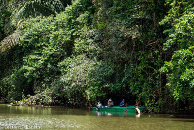 Fishing From the Shade