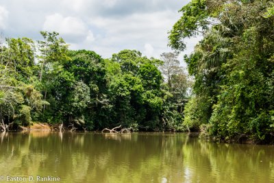 Rio Frio II