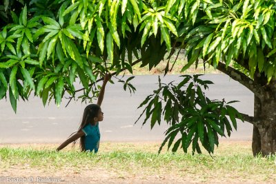 Girl at Play