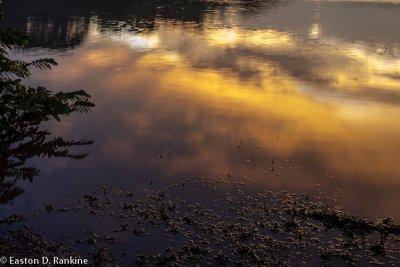Reflected Sunset - Rio Tempisque