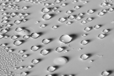 Condensation on Plastic Lid