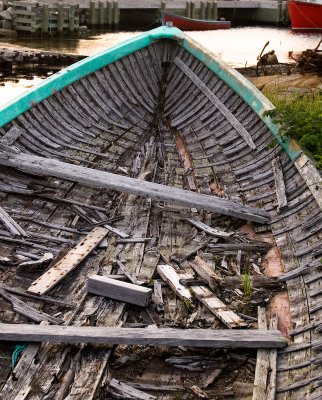 Skeleton - Peggy's Cove