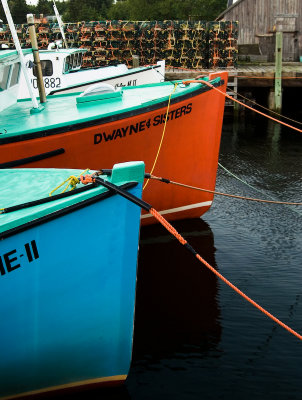 Moored Boats I - Moose Harbour