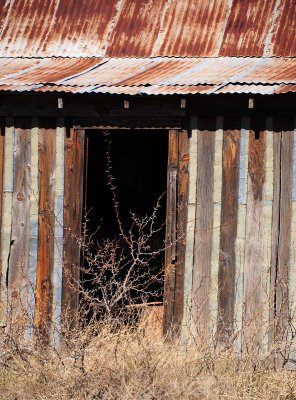 Door on a side trip to Lake Balmorea