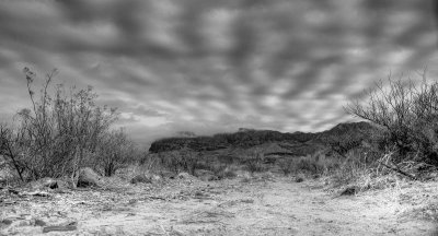 A path less traveled at Big Bend NP