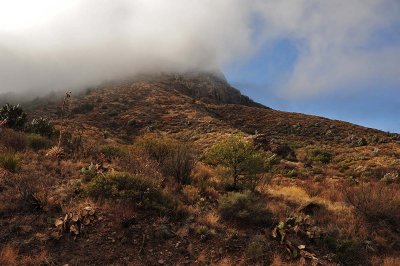 Coming out of the fog into the basin