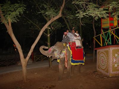 Choki Dandi - Elephant ride