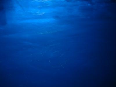 Blue water inside Grotta Azzurra