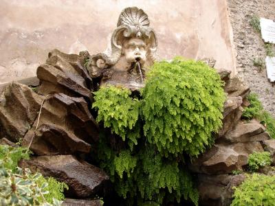 A fountain at Frascati