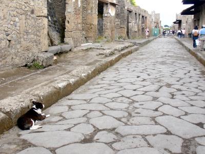 a dog at Pompei