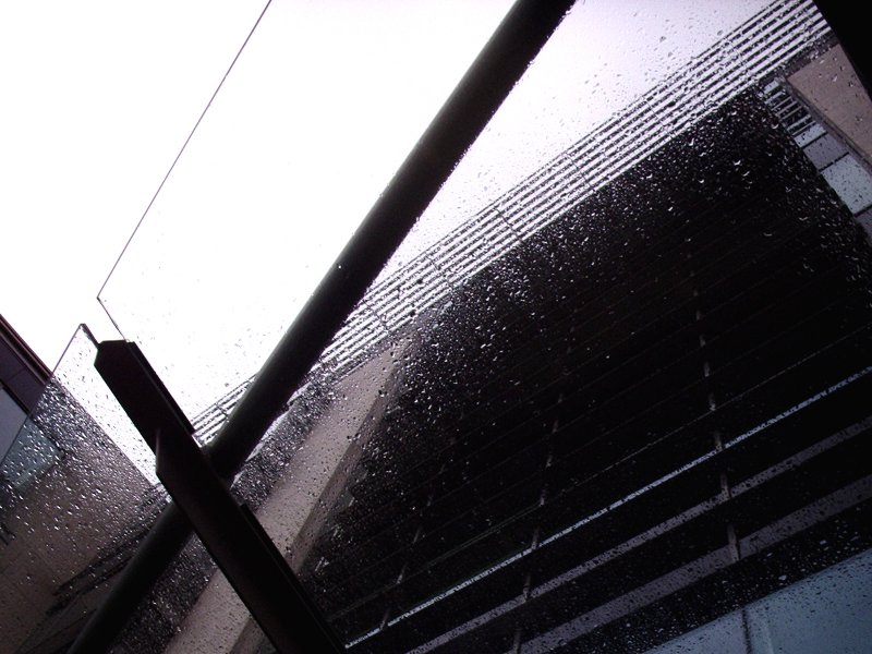 a drizzling day