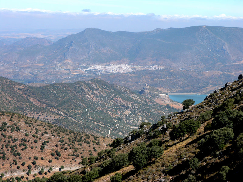 algodonales & zahara