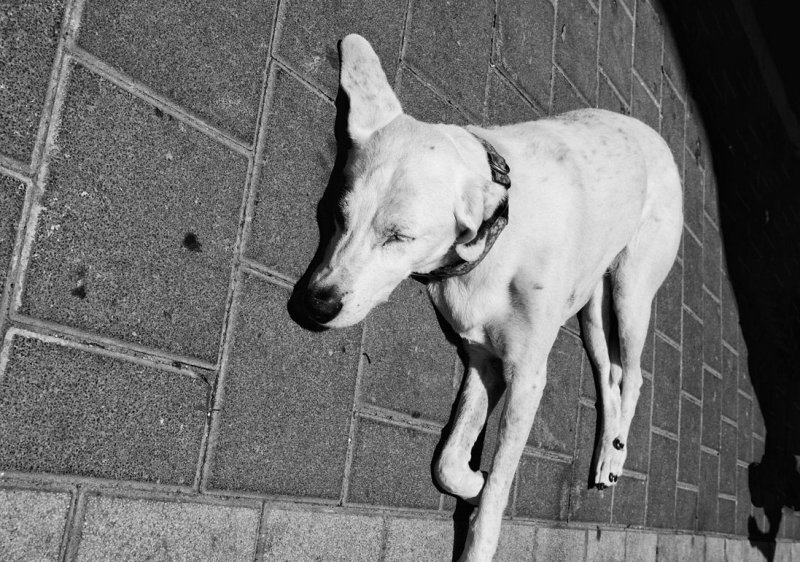 DSC_0099.jpg
