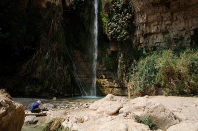 David waterfall