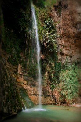 David waterfall