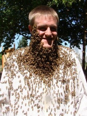 Matt covered with bees-the boy has lost his mind