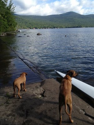 Peninsula  Trail, Lake Placid-with Jack and Hank