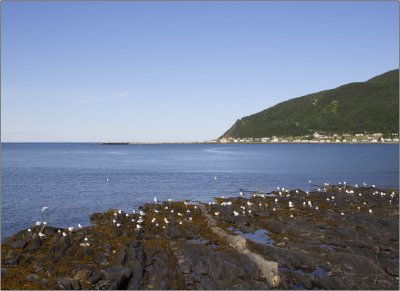Mon-Louis, côtes #04