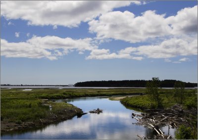 Chandler, estuaire #03