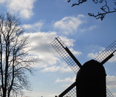 Den Gamle By's windmill from the botanical gardens