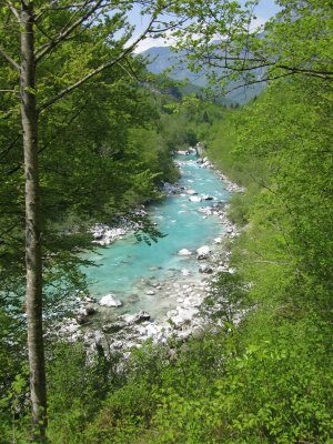 The river is a glorious emerald color  stunningly beautiful in the sunlight