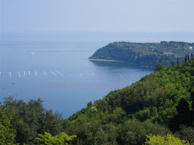 Looking towards Italy whilst hiking near Piran