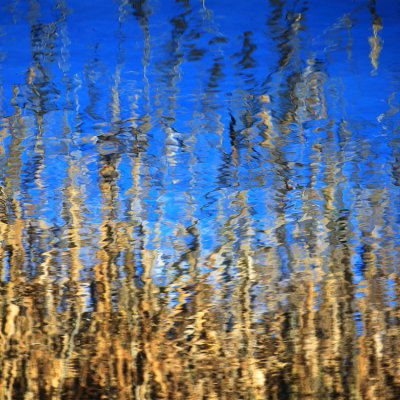 Riflesso impressionista