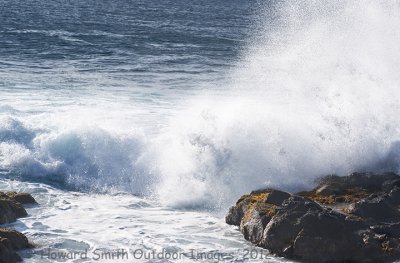 Surf #1