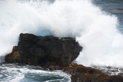 Surf #2