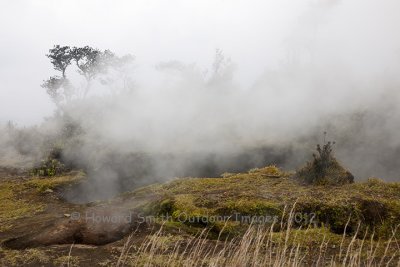 Kilauea Steam vents