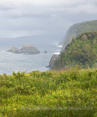 Pololu Valley #1