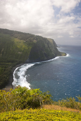 a_taste_of_hawaii