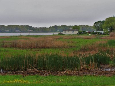 North Cove in Old Saybrook