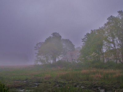 Foggy Marsh In Old Saybrook