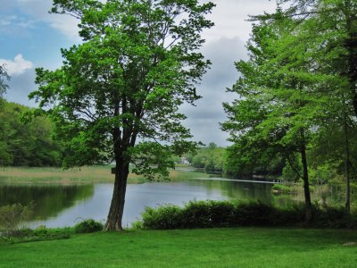 View of the Lieutenant River