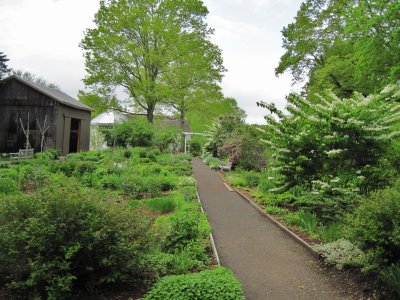 View of Garden at the Rear of the Mansion