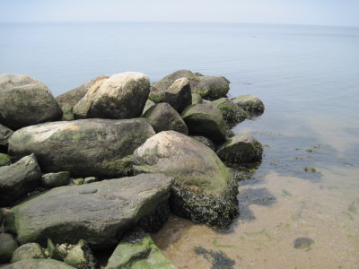 Old Jetty on Long Island Sound