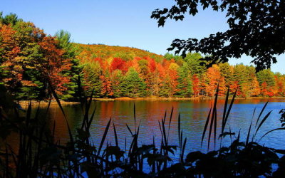 Fall colors on Butler Pond c.jpg