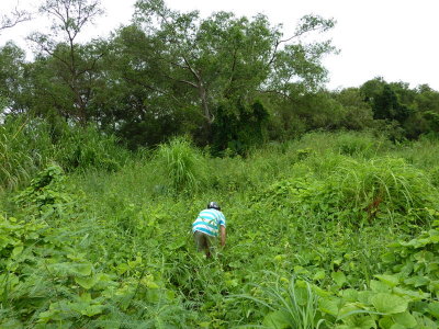 P1010315.jpg